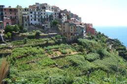 Il BoMa Bed & Breakfast Guest house Apartments Holiday home in Riomaggiore Cinque Terre